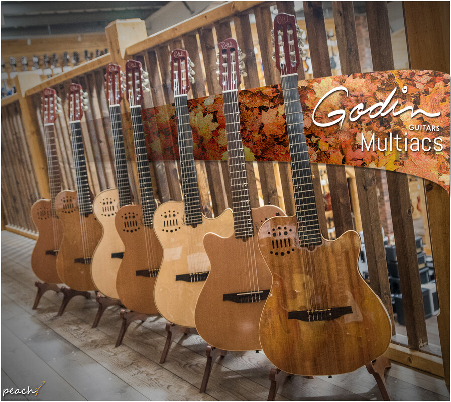 Godin Multiac Available at Peach Guitars Peach Guitars