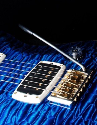 PRS Signature Private Stock Limited Run 41/100