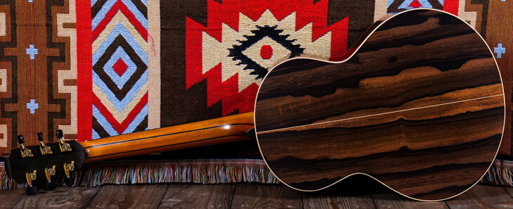 Why Tonewoods Matter: The Truth Behind Acoustic Guitar Sound