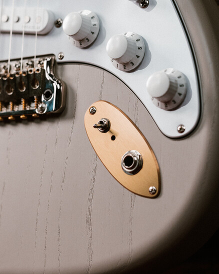 PRS Guitars  Introducing the Dead Spec Silver Sky