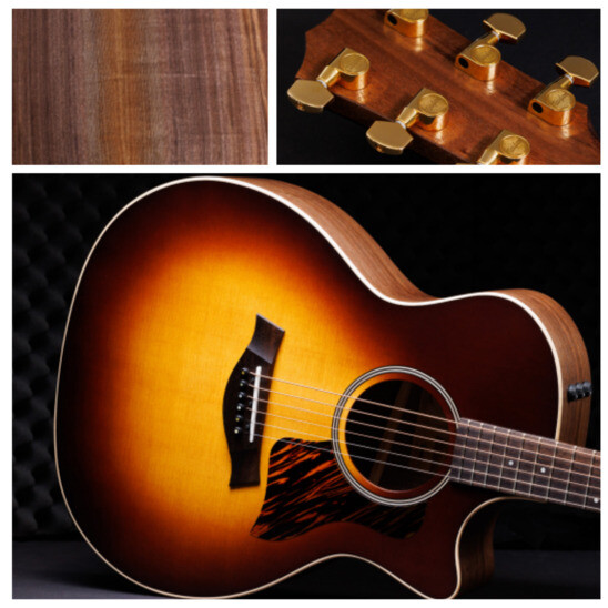 New Release | Taylor 50th Anniversary models!