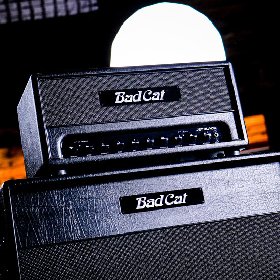 New Release | Bad Cat Jet Black